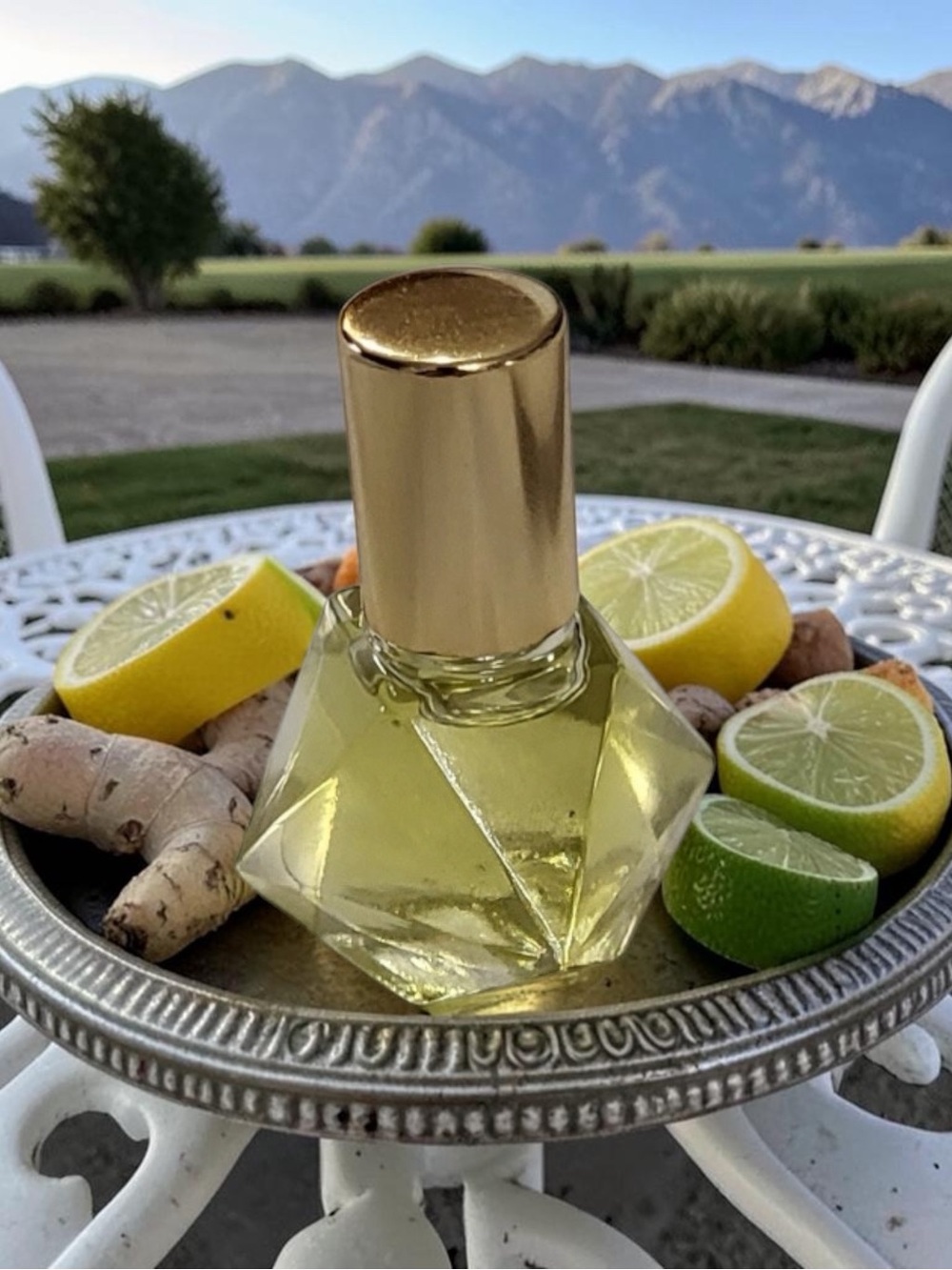 Orchid & Vine Aromatherapy Body Oil Scent Roller Luxury Beauty Citrus Bliss